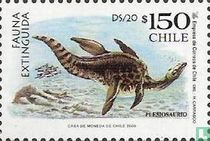 Plésiosaure