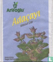 Adaçayi 