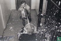 Posting as Franks, James Bond murders the real Peter Franks