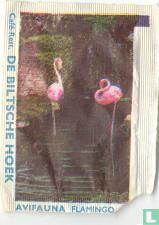 Flamingo - Café Rest. De Biltsche Hoek