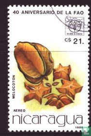 Obst kaufen