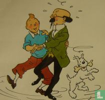 Tintin and sunflower