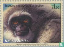 Affen briefmarken-katalog