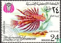 Poissons  acheter