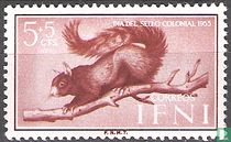 Squirrel