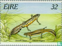 Amphibians stamp catalogue