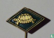 Turtle on diamond [green]