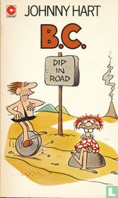 Dip in road  