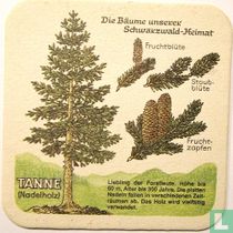  Tanne Die bäume unserer schwarzwald-heimat