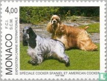 Internationale Hundeausstellung kaufen