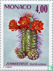 Plantes rares acheter