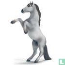Mustang étalon blanc
