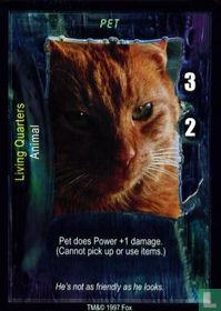 Pet