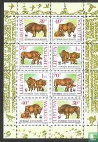 WWF - Wisent of Europese Bison