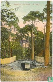 Tunnel in het Bosch - Baarn
