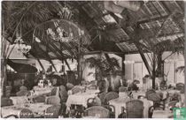Avifauna. Restaurant
