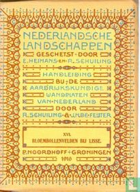 Bloembollenvelden bij Lisse