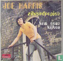 Zilverdropjes