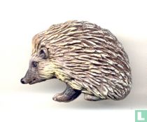 hedgehog