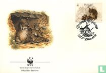 Iberian lynx