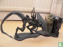 Alien Queen