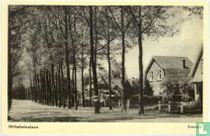 Wilhelminalaan - Ermelo