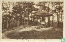Groet uit Driebergen - Paddestoel in ´t Bosch