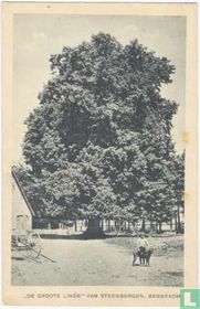 De Groote Linde van Steenbergen - Bennekom