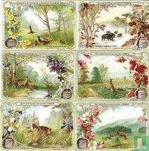 ... title in this language not known 