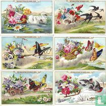 ... title in this language not known 