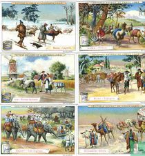 ... title in this language not known 