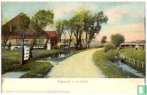 Weg naar Bergen
