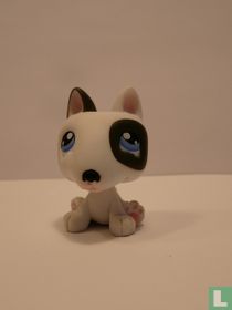 Bull Terrier 