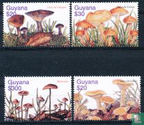 Mushrooms