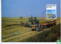 Summer stamps