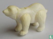 Polar bear young (closed mouth)
