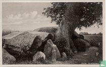 Rolde, Hunebedden