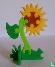 Sonnenblume