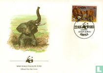Afrikaanse olifant