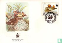 Mandarin Duck