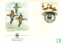 Mandarin Duck