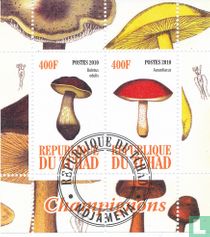 Mushrooms   for sale