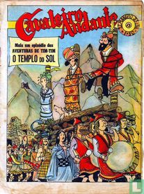 Cavaleiro Andante 13