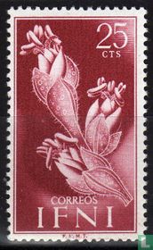 Flora and fauna