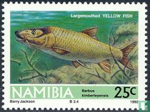 Freshwater fish