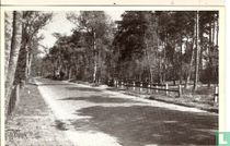 Dolderseweg - Den Dolder