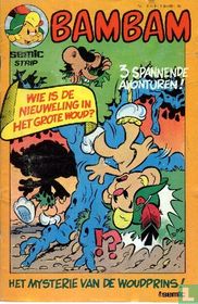Het mysterie van de woudprins!