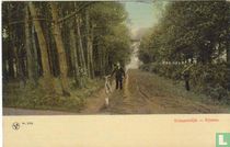 Schapendijk