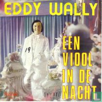 Een viool in de nacht