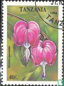 Fleurs